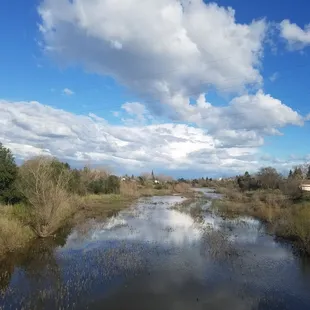 Taken from foot bridge today