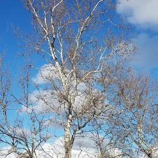 Beautiful afternoon on the trail