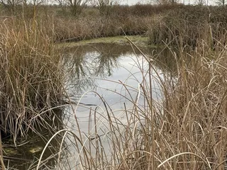 Stone Lakes National Wildlife Refuge