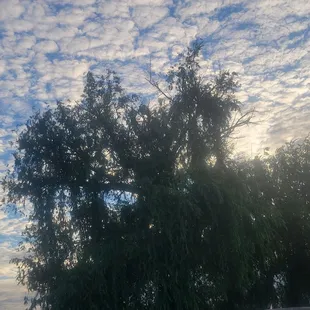 Evening sky