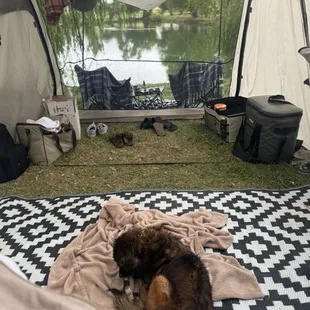 View from my tent on the pond