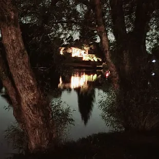 I love the reflections of the lights on the lake