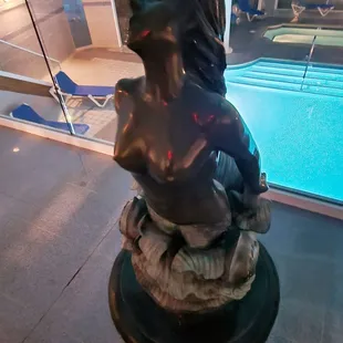 Sculpture on the floor above the inside air conditioned pool