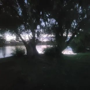 Twilight on the lake at LDS