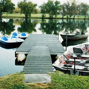 Our little piece of heaven... The lake is beautiful and we love the paddleboats.