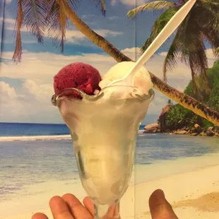 Homemade Ice Cream.