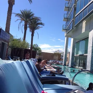 Nice palm trees