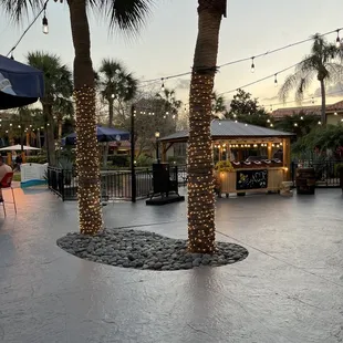 Tropical  Palm trees decorated