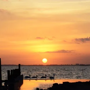 Laguna Madre RV Park
