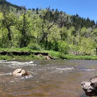 taking break in a rest area near the trail