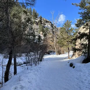 Bear creek trail