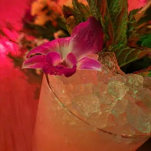 Mai Tai