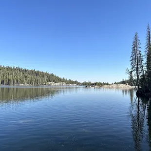 Beautiful