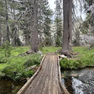 Crossing the creek