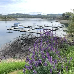 Marina and fishing piers are closed during COVID-19 restrictions but the boat launch is open.