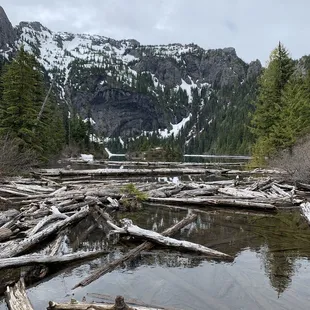 Scenery at angeles lake
