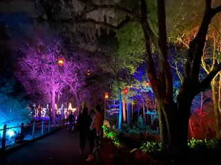 Jacksonville Arboretum & Botanical Gardens