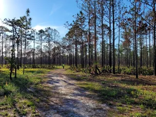 Julington-Durbin Preserve