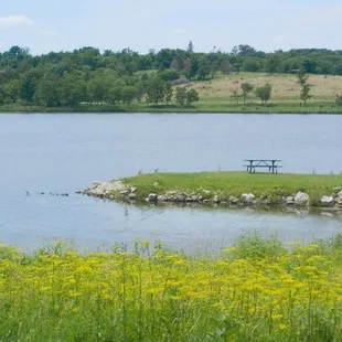 Lake Anita in summer.