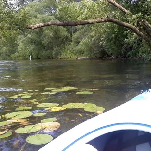 Lake Ann is peaceful. not many boats and the water is very clean and clear.  one of my favorite place for relaxing kayaking.