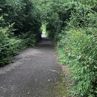 Blacktop 1.4 mile walking trail