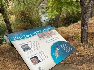 Lake Solano County Park and Campground