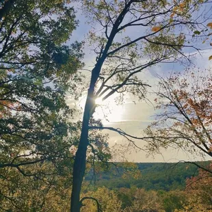 Sun rise in late October.