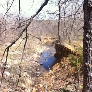 Creek below the waterfall