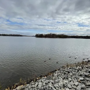 a large body of water