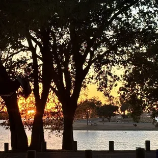 The view from our site