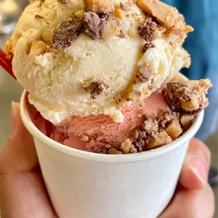 a hand holding a cup of ice cream