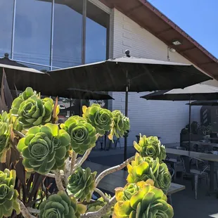 Outside of marketplace