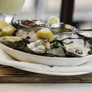 Oysters*