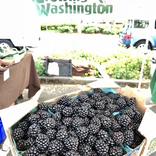 a box of blackberries