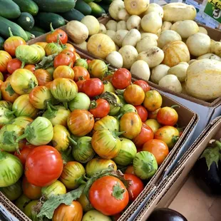 tomatoes and cucumbers