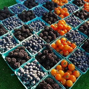 blueberries, blackberries, and tomatoes