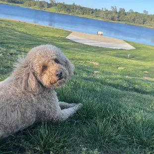 Lake Clementia Amphitheater