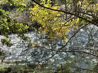 Miners Ravine Nature Reserve