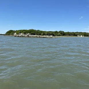 Limestone &amp; mesquite