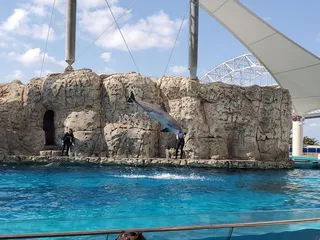 Texas State Aquarium