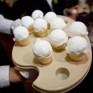 Lemon Sorbet