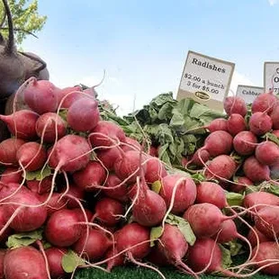 a pile of radishes