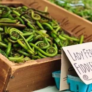 a display of green beans