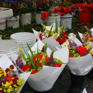 a variety of flowers