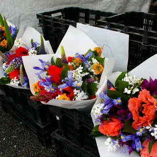 a variety of flowers