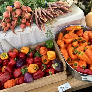 a variety of vegetables