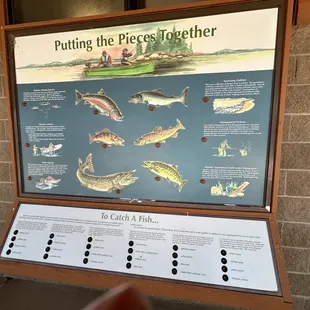 Picture at Eleven Mile Reservoir showing the fish there.