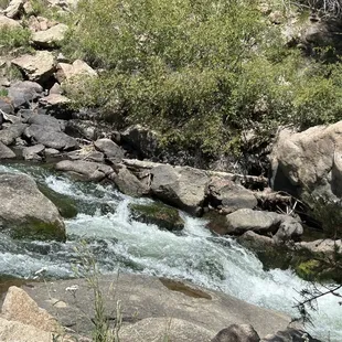 Pikes National Forest