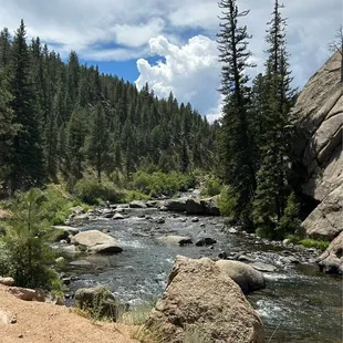 9 miles of fishing stream in Pikes National Forest Eleven Mile Canyon
