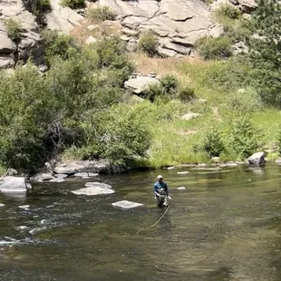 Trout fishing in Pikes NF Eleven Mile Canyon